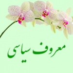 سیاسی